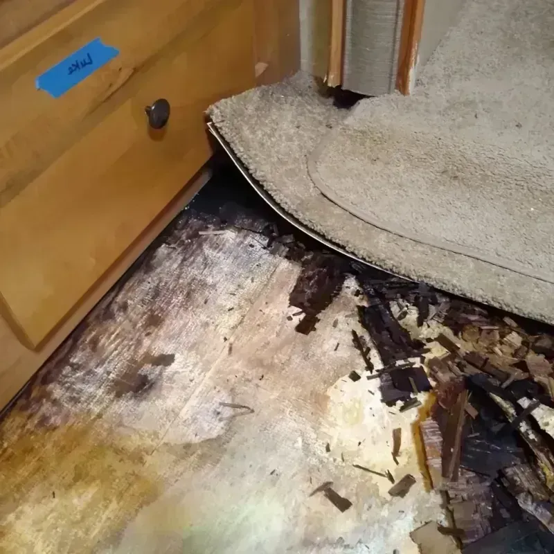 Best Wood Floor Water Damage Service in Haubstadt, IN